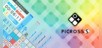 PICROSS S