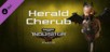 Warhammer 40,000: Inquisitor - Martyr - Herald Cherub [PS4]