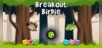 Breakout Birdie