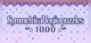 Symmetrical logic puzzles 1000