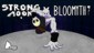 Bloomyth & Strong Moon Bundle