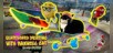Skateboard Drifting with Maxwell Cat: The Game Simulator
