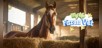 My Life: Farm Vet