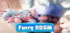Furry BDSM