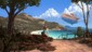 Wayward Strand