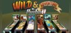 Wild & Adventure Pinball