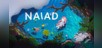 NAIAD
