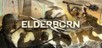 ELDERBORN Steam CD Key