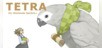 TETRA for Nintendo Switch International Edition