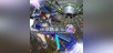 EARTH DEFENSE FORCE4.1 WINGDIVER THE SHOOTER