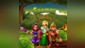 Gnomes Garden