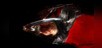 NINJA GAIDEN 3: RE