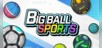 BIG BALL SPORTS