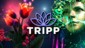 TRIPP®