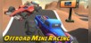 Offroad Mini Racing