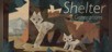 Shelter Generations