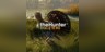 theHunter: Call of the Wild™ – Revontuli Coast