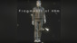 Fragments of Him