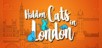 Hidden Cats in London