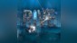 RIVE