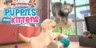 My universe - Puppies & Kittens