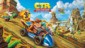 Crash Team Racing Nitro-Fueled [PS4]