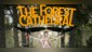 The Forest Cathedral