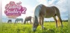 My Riding Stables 2: A New Adventure