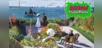 Masterpieces of World - Brimming with Flowers -