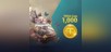 TERA Coin 1,000