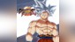 DRAGON BALL FIGHTERZ - Goku (Ultra Instinct)