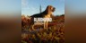 theHunter: Call of the Wild™ - Bloodhound