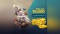 TERA Coin 10,000 (+1,000 Bonus)