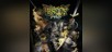 Dragon's Crown Pro [PS4]