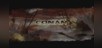 Conan
