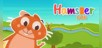 Hamster Bob