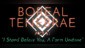 Boreal Tenebrae