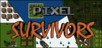 Pixel Survivors