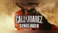 Call of Juarez Gunslinger