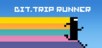 BIT.TRIP RUNNER
