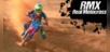 RMX Real Motocross