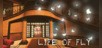 Life of Fly