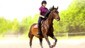 My Little Riding Champion