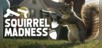 Squirrel Madness