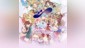 Nelke & the Legendary Alchemists ~Ateliers of the New World~