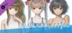 BLUE REFLECTION - Summer Clothes Set B (Yuzu, Shihori, Kei)