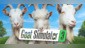 Goat Simulator 3