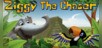 Ziggy the Chaser