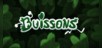 Buissons