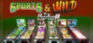 Sports & Wild Pinball